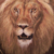 :iconsuz87: