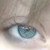 :iconsuzan-dul:
