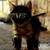 :iconsuzuna1012:
