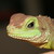 :iconsuzy711: