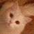 :iconsuzzbuzz: