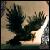 :iconsvart-ravn: