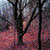 :iconsventevith-stock: