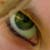 :iconswall0w: