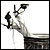 :iconswallowculture: