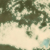 :iconswampy: