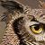 :iconswan14: