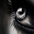 :iconswani-r: