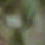 :iconswedishdeathklok01: