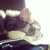 :iconsweeneyfang17: