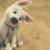 :iconsweeneyytodd: