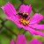 :iconsweet--nothingness: