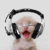:iconsweet-arrow: