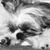 :iconsweet-fragrance: