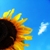 :iconsweet-palette: