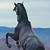 :iconsweet-southern-rain: