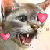 :iconsweet-spottedleaf: