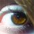 :iconsweet-sunday: