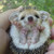 :iconsweetacandy988: