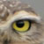 :iconsweetasacandy: