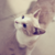 :iconsweetbrooksong: