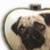 :iconsweetcandyfun:
