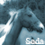 :iconsweetdelerium:
