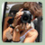 :iconsweetdependency: