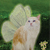 :iconsweeteepye: