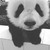 :iconsweetgrrpanda: