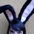 :iconsweethazelnut-0-booh: