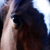 :iconsweetheart-lover89: