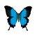 :iconsweetheart4eva: