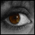 :iconsweethebi: