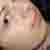 :iconsweetie-may: