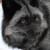 :iconsweetiekid: