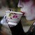 sweetjeans :iconsweetjeans: