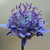 :iconsweetlavenderfields: