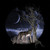 :iconsweetluv40: