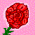 :iconsweetoriginal48:
