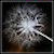 :iconsweetpainter: