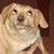 :iconsweetpattybear: