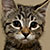 :iconsweetpeanat: