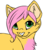:iconsweetpinklemonade: