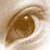 :iconsweetroselea: