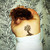 :iconsweets2412: