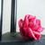 :iconsweetseclusion0305: