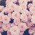 :iconsweetsecrets12: