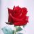 :iconsweetseductor: