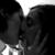 :iconsweetserendipity: